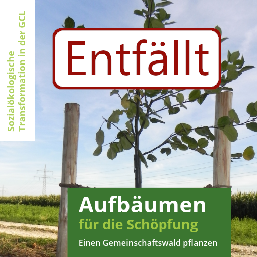 "Aufbäumen für die Schöpfung" - Fortführung Baumpflanz-Wochenende