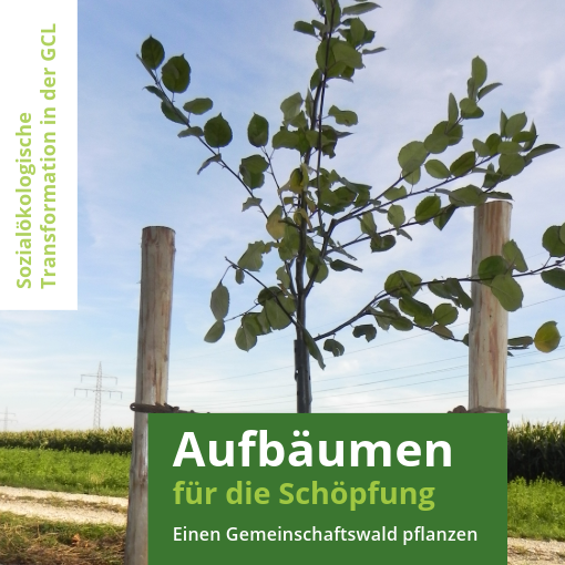 "Aufbäumen für die Schöpfung" - Fortführung Baumpflanz-Wochenende