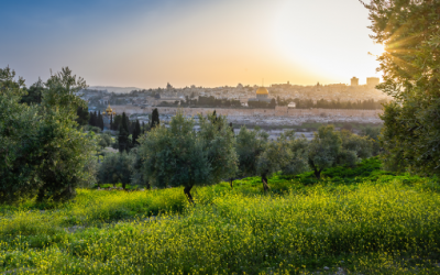 Pilgerreise ins Heilige Land