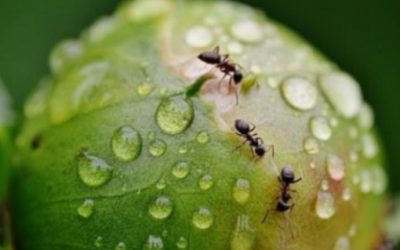 Mitten im Alltag Glauben lernen – GCL