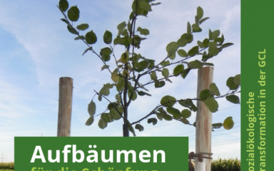 Aufbäumen für die Schöpfung