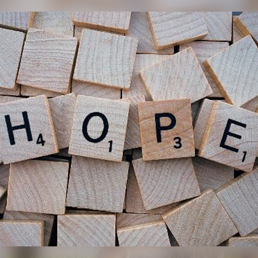 Umkehr zur Hoffnung. Der sozial-ökologische Wandel und ich